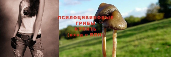 мдпв Горняк