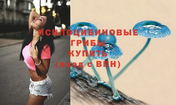 2c-b Вязьма