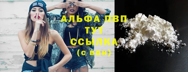 стаф Вяземский