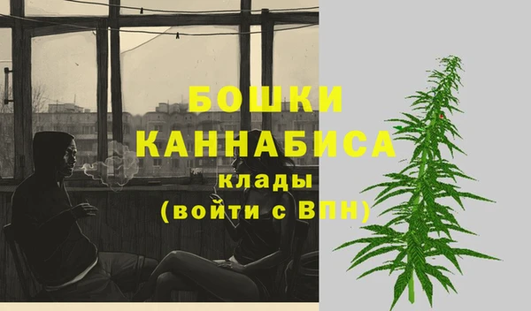 мдпв Горняк